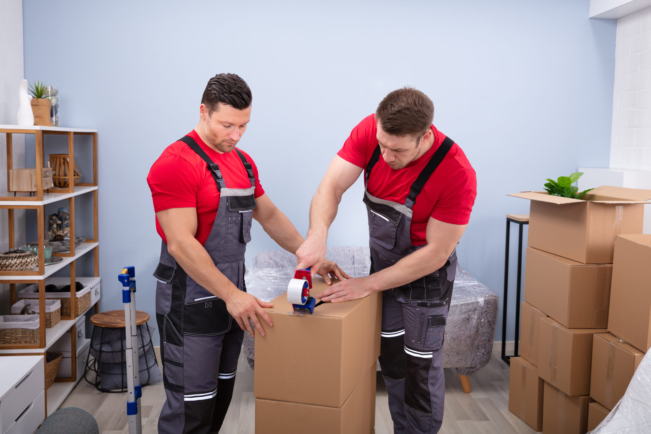 Professional Packing Services